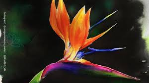 Watercolor Bird Of Paradise Painting Watercolor Strelitzia Bird Of Paradise Painting Watercolor Beginner Watercolor Landscape Tutorial Watercolor Landscape Paintings