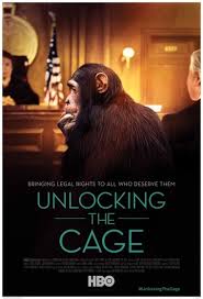Founding members malcolm brickhouse and jarad dawkins met each other at a birthday party in 2005. Unlocking The Cage Rotten Tomatoes
