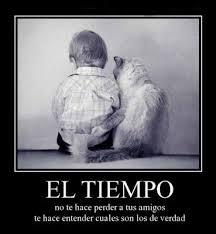 Dia Del Amigo Frases Cortas Graciosas Frases De Amistad Frases De Amistad Verdadera Amigos A Distancia