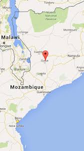 Image result for Crotalaria namuliensis