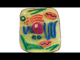 Maybe you would like to learn more about one of these? 3d Model Of Animal Cell For Science Project à¤œà¤¨ à¤¤ à¤• à¤¶ à¤• Youtube
