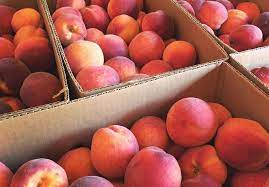Peaches By The Bushel Member Buying Club Potsdam Food Co Op
