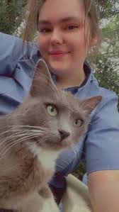 Missing cat Asher found in Albany, GA