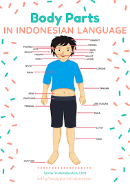 Pin On Indonesian Language Resources