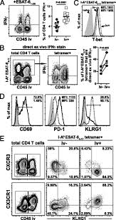 Ct can demonstrate interstitial lung disease, emphysema associated with chronic obstructive pulmonary disease, features of left heart failure (including interstitial oedema), and changes secondary to miscellaneous conditions such as sarcoidosis. Cutting Edge Control Of Mycobacterium Tuberculosis Infection By A Subset Of Lung Parenchyma Homing Cd4 T Cells The Journal Of Immunology