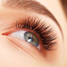 Extension De Cils Extension Cils Cils Rehaussement Cils