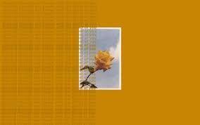 Yellow Aesthetic Lockscreens Computer Google Search Aesthetic Computer Goog Aesthetic Desktop Wallpaper Desktop Wallpapers Tumblr Cute Desktop Wallpaper