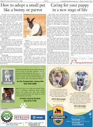 Maybe you would like to learn more about one of these? All About Pets Sherbrooke Record