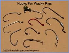 You'll want to use this rig if you want the worm to slowly fall to the bottom. The Wacky Rig Is The Height Of Simplicity And Effectiveness