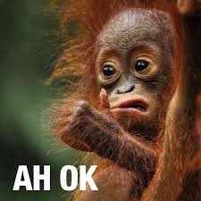 Image result for ok good meme