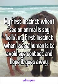 My First Instinct When I See An Animal Is Say Hello My First Instinct When I See A Human Is To Avoid Eye Contact And Hope Funny Quotes Whisper Quotes Funny