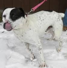 Check spelling or type a new query. Pin On Freckles 3