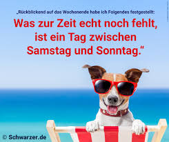 20 Lustige Bilder Mit Sprüchen Zum Wochenende