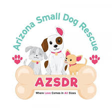 If your pet meet is a success, you will spend a few minutes completing some paperwork and learning about arizona animal welfare league 25 north 40th st. Arizona Small Dog Rescue Reviews And Ratings Phoenix Az Donate Volunteer Review Greatnonprofits