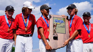 IHSAA golf: New Castle's Tabor medals, Bergum finishes 12th at state