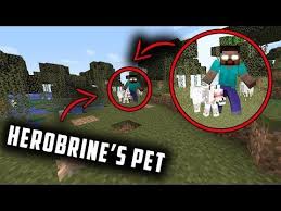 5 herobrine caught on camera in real life. I Found Herobrine S Pet On The Minecraft Herobrine Seed Finding Herobrine In Minecraft Youtube Pets Minecraft My Pet Dog