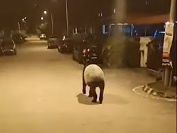 Ini menunjukkan rakyat malaysia ramai yang memiliki kenderaan. Thermostat Housing 2021 Latest Car News Reviews Buying Guides Car Images And More Wapcar My