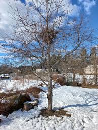 Image result for site:byggahus.se byte-stock