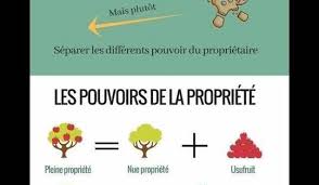 Epingle Par Caroline Cornec Sur Immobilier Achat Immobilier Gagner De L Argent Comment Faire