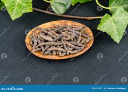 Image result for Xylopia aethiopica