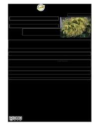 Image result for Premna velutina