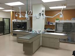 Veterinarian In Lake Oswego Or Usa Clinic Tour Hospital Design Veterinary Clinic Veterinary