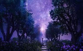 Purple Forest Wallpaper Night Sky Wallpaper Forest Pictures Forest Wallpaper Purple night sky stars milky way android wallpaper … … night sky wallpaper hd high resolution starry night sky background free powerpoint background.