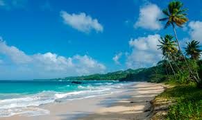 Pronóstico del clima por horas para los próximos 5 dias. Descubre Cuando Es La Mejor Epoca Para Viajar A Puerto Plata