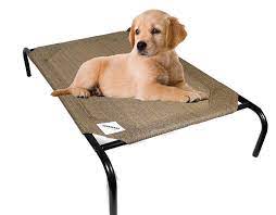 Raised dog beds and cots keep your pet off of cold or hot floors so he can be comfortable wherever he sleeps. The Original Coolaroo Elevated Pet Dog Bed For Indoors Outdoors Medium Brunswick Green Walmart Com Walmart Com