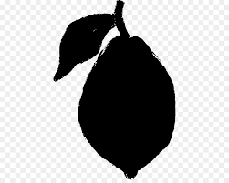 Lemon cartoon png is about is about black, black and white , lemon, auglis, fruit. Lemon Cartoon Png Download 482 709 Free Transparent Black Png Download Cleanpng Kisspng