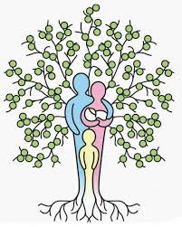 Check spelling or type a new query. Arbol Genealogico Genealogia E Historia Familiar Home Facebook