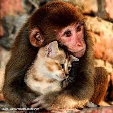 Image result for person needing understanding images free