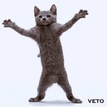Download now kumpulan dp bbm bergerak lucu gokil bikin terpingkal pingkal. Dp Bbm Hewan Bergerak Lucu Gambar Lucu Lucu Kucing