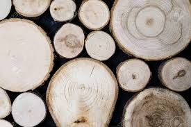 If wood shims can follow a unique pattern, then certainly they can come in unique color combinations! Close Up View Of Cut Wooden Log Unique Circles From Old Trees Creative Modern Interior Design