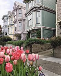 See more ideas about plants, planting flowers, indoor plants. Hestia Home Hestia Home Twitter
