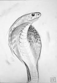 You Will Enjoy Drawing Ideas Pencil Using These Helpful Suggestions Drawingideaspencil Snake Drawing Animal Drawings Pencil Drawing Tutorials