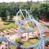 Drachen fire, roller, theme park, theme park ride, enthusiast, busch gardens, bgw, bge, busch gardens williamsburg, busch gardens europe, arrow dynamics, arrow Https Encrypted Tbn0 Gstatic Com Images Q Tbn And9gcsapzzfuhdkhzdkf2uvjmxvbvyxq2pcu0u0gc1lltupfbelj84e Usqp Cau