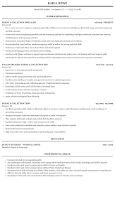 credit & collection resume sample