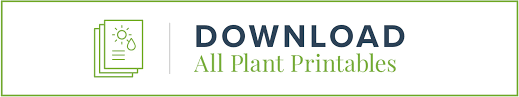 Place card me how it works guides make place cards. Houseplant Care Printables For Any Plant Lover Proflowers Blog