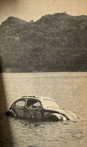 Book Review: Walt Disney's Herbie Goes Bananas | Disleelandia