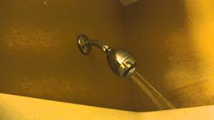 Featuring a 1.5 gpm flow rate, this shower head is perfect if you are looking to save water while. Niagra 1 25 Gallon Gpm Earth Massage Shower Head Demo And Review Youtube