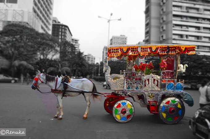 Horse carriage known as Victoria at Marine Drive