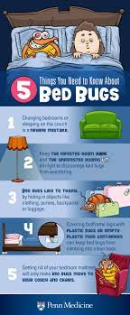 If you find them in your bedroom, inspect your wallpaper, bookcase, furniture, window sills, and window sides. Fighting Bed Bugs And Their Bites Penn Medicine