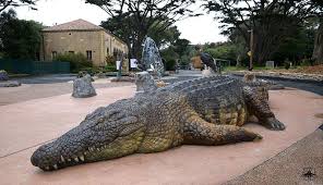 San Francisco Zoo Animals San Francisco Zoo S Animal Learning Plaza Project Cgpress Saltwater Crocodile San Francisco Zoo Animal Learning