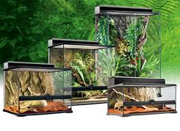 Exo Terra Natural Terrarium Medium Advanced Reptile Habitat Reptile Habitat Terrarium Succulent Terrarium