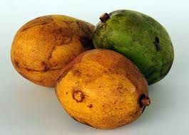 Image result for Spondias