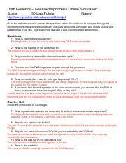 The character of dna fingerprinting and paternity worksheet answer key in studying. Dna Fingerprinting Worksheet Answer Key Pbs