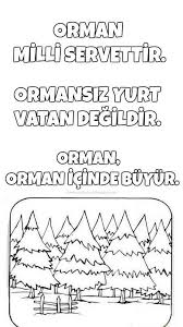 Orman Ormanhaftasi Agac Agacgunu Cevrekorumahaftasi Belirligunvehaftalar Boyamasayfasi Ormanlar Okul Duzyazi