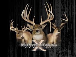 We did not find results for: Big Buck Wallpapers Top Free Big Buck Backgrounds Wallpaperaccess