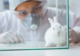 Paws rehab in hillsboro does a little bit of everything: Animal Rights Group Label Ohsu Worst In The Country